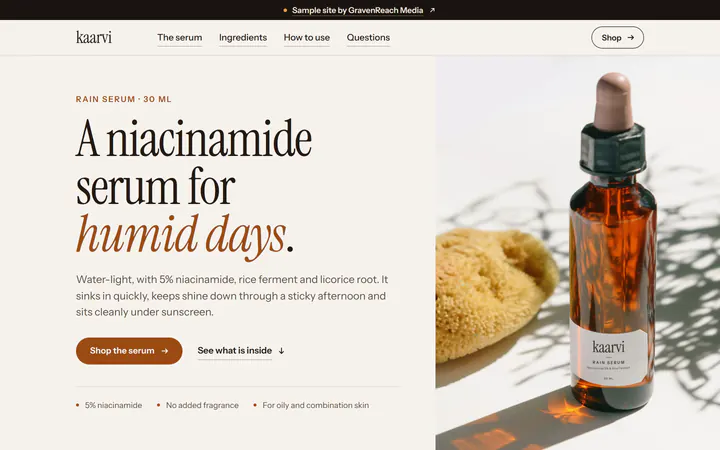 The Kaarvi sample site's first screen on a desktop
